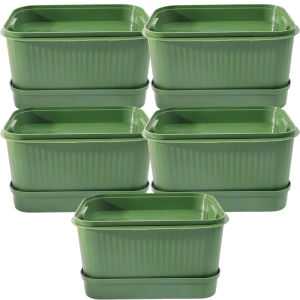 5Sets Sprouts Growing Tray / Soilless Cultivation Nursery Trays / Gardening Sprout Tray with Lid / Net Bottom Hydroponics Seed Germination Tray