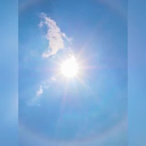 2025 Sunscreen Cream Gel Isolation Facial Lotion Cream SPF50 Bleaching Creams Sakura Protector Facial Sun Block Moisturizer Whiteningkcld