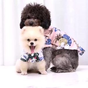 小中大型犬菠萝夏威夷宠物狗狗猫咪泰迪比熊金毛春夏衣服用品衬衫