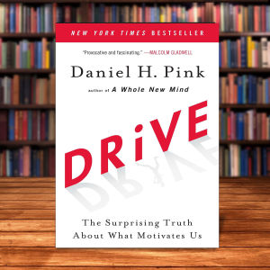 Drive: The Surprising Truth About What Motivates Us by Daniel H. Pink