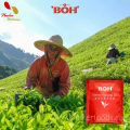 Lipton Black Tea Individual Tea Bags Teh Hitam English Breakfast Tea 特选红茶 50/100 sachets Halal. 