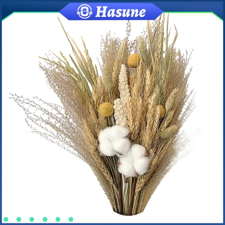 Hasune Natural Dried Flower DIY Chic Farmhouse Boho Decor Dry Flowers ...