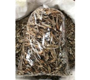 ปลากะตักแห้ง ปลาทะเล ปลาซิว ปลาจิ้งจัง