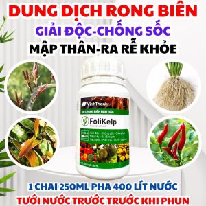 FOLIKELP – PHÂN BÓN HỮU CƠ CHO RAU SẠCH HOA KIỂNG MAI VÀNG 250ML PHA 400 LÍT NƯỚC PHUN