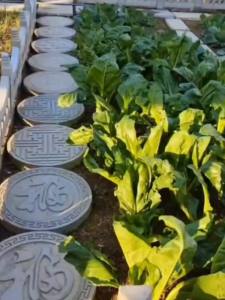 New Style Vegetable Trench Board Mold Outdoor Square Road Courtyard Full Set of Cement Fence along the Road Vegetable Garden Floor Mold