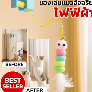 ของเล่นแมว ขนนกที่สะดุดตา เรซิน abs กระตุ้นความอยากรู้อยากเห็น ชาร์จเร็ว ไม่ทำลายพื้นผิว ตระกูล