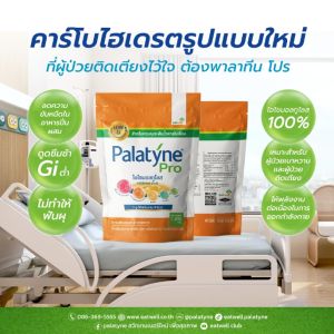 พาลาทีน  โปร คาร์โบไฮเดรตเพื่อสุขภาพ แบบผง บรรจุ 1 กิโลกรัม ให้พลังงานสูง ค่าดัชนีน้ำตาลต่ำ (Low GI )