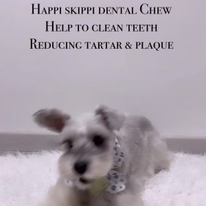 Happi Skippi Zest Petite 2.5inch Dental Chew 150g Dog Treat Oral Care Fresh Breath Natural Hard Apple Mint Milk