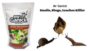 Organic Molluscicide Mr Garnick Ubat Siput Organic Pesticide for Snail Slug & Leech 有机·蜗牛药 SHS Kebun