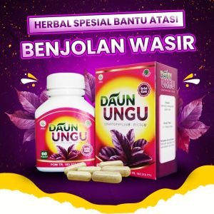 daun ungu obat wasir dan ambien BPOM Herbal Alami untuk Mengatasi benjolan/bengkakan wasir