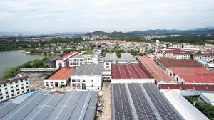 Shipped from China [BIN] Pedal Resistance Band Home Use Women Yoga Fitness Waist Abdominal Trainer Student Exercise Sit-Ups Assistive Resistance Rope