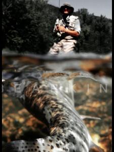 [2025 Mẫu Mới ] Bánh Xe Quay Steila Sản Xuất Trong Nước Chính Hãng Của Bear King Cốc Dây Hoàn Toàn Bằng Kim Loại Tay Đòn Đôi Đầu Chiếu Xa Xiên