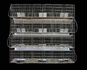✅Ready Stock✅ Rabbit Cage Large Extra Breeding Breed Home Hamsters Indoor Nest Rumah Sarang Arnab Commercial 兔子笼抽屉式/双层