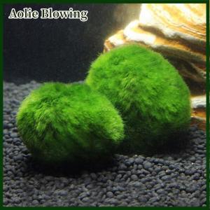 Aolie 3-4ซม.Marimo MOSS balls Live Aquarium พืชสาหร่ายปลากุ้งถังเครื่องประดับจำลองลูกสาหร่ายสีเขียวเทียม