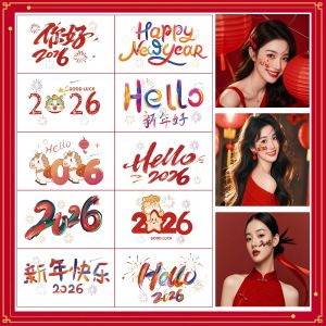 Spring Festival Cute Face Stickers Happy New Year Party
