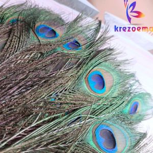 Bulu merak imitasi warna cantik premium per-1pcs