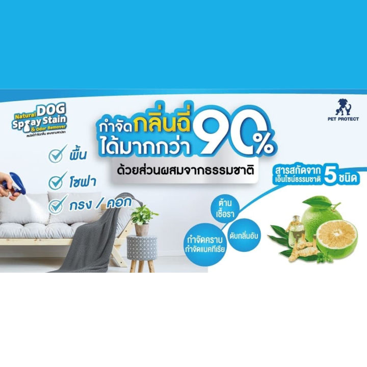 Pet%20Protect%20Dog%20Natural%20Stain%20&%20Odor%20Remover%20%E0%B8%AA%E0%B9%80%E0%B8%9B%E0%B8%A3%E0%B8%A2%E0%B9%8C%E0%B8%81%E0%B8%B3%E0%B8%88%E0%B8%B1%E0%B8%94%E0%B8%81%E0%B8%A5%E0%B8%B4%E0%B9%88%E0%B8%99%E0%B8%89%E0%B8%B5%E0%B9%88%E0%B8%AA%E0%B8%B8%E0%B8%99%E0%B8%B1%E0%B8%82%20%E0%B8%A5%E0%B8%94%E0%B9%81%E0%B8%9A%E0%B8%84%E0%B8%97%E0%B8%B5%E0%B9%80%E0%B8%A3%E0%B8%B5%E0%B8%A2%20%E0%B8%81%E0%B8%B3%E0%B8%88%E0%B8%B1%E0%B8%94%E0%B8%84%E0%B8%A3%E0%B8%B2%E0%B8%9A%E0%B8%AA%E0%B8%81%E0%B8%9B%E0%B8%A3%E0%B8%81%20(500ml)%20-%20Image%203