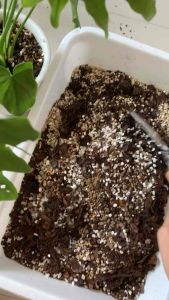 ดินผสมสําเร็จรูปพร้อมปลูก ดินปลูก วัสดุปลูกคุณภาพ plant soil premium