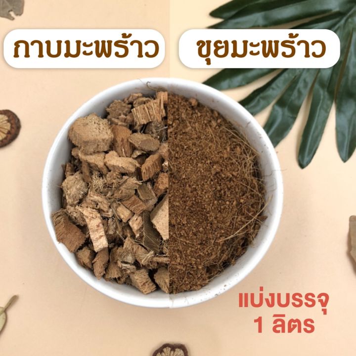 กาบมะพร้าว ขุยมะพร้าว วัสดุปลูกคุณภาพสูง 1 ลิตร