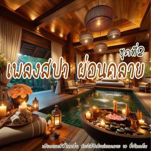 TJ Shop เพลงสปา mp3 (ชุดที่ 2) SPA Music สำหรับร้านนวด เพลงร้านสปา GT567 บำบัดจิตใจคลายเครียด แฟลชไดร์ฟ USb Mp3