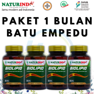 obat herbal penghancur peluruh batu empedu paling ampuh sakit perut kanan nyeri ulu hati memperbaiki saluran empedu jamu biolipid naturindo hasianherbal