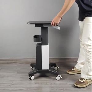 FFBH Beautify Trolley Cart Nordic Luxury Designers Utility Trolley Storage Creativity Salon Furniture Kosmetik Wagen FYST H8M4T