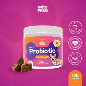 The Perfect Paws 3-in-1 Probiotic for Dogs – 120 Chews | Supports Digestion Gut Health Immunity Shinier Coat & Weight Management