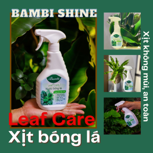 Chai xịt bóng lá Bambi Shine 500ml tạo độ bóng tự tự nhiên cho lá không mùi và ngừa côn trùng
