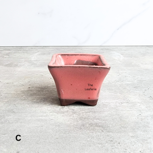 The Leaferie Bonsai (Series 84) plant pots. flowerpot . flowerpots . flower pot . planter Ceramic
