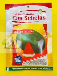 Benih Semangka SOIMA-F1 isi 300an biji dari CAP SEBELAS juos tenan!!