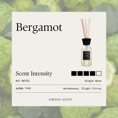 [KIRONA SCENT] Vanilla Reed Diffuser | Spa White 110ml | Aromatherapy Scents for Study Work Stress