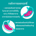 Gaviscon Double Action Mint Flavour 10ml. กาวิสคอน รสมินต์ ซองชมพู 12 ซอง [1 กล่อง] กรดไหลย้อน ยาสามัญประจำบ้านขนาด 1101. 