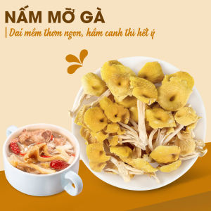 Nấm hải sản khô 1kg nấm bạch tuyết và tổng hợp các loại nấm quý thơm ngon bổ dưỡng - Lãn Ông