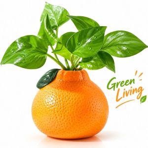 DIVATEN Plastic Hydroponic Vase Lightweight Orange Shape Orange Vase Creative Anti-fall Flower Arrangement Small Vase Home Decoration