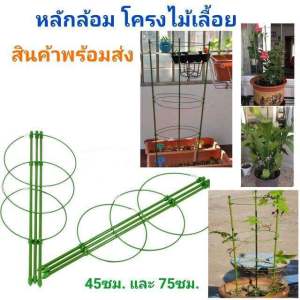 ซุ้มไม้เลื้อย โครงไม้เลื้อย หลักล้อม กรงพืช ไม้เลื้อย พืชเลื้อย ปลูกผัก ไม้ดอก เพาะกล้า โครงไม้เลื้อย โครงกันต้นไม้ล้ม ขนาด 45 ซม