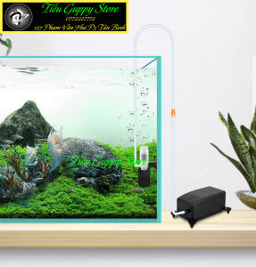 Lọc Vi Sinh Mini Cho Những Hồ Cá Nhỏ Hồ Betta Hồ Để Bàn