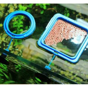 Vòng Giữ Thức Ăn Nổi Cho Cá Cảnh Tròn Vuông