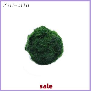 Kui-Min 3-4cm Marimo Moss Balls Live Aquarium Plant Algae Fish Shrimp Tank Ornament Simulation Green Algae Balls Artificial Plant