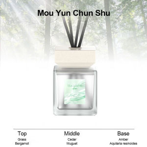 Buy 1 Take 1 Reed Diffuser Set Long Lasting Luxury Hotel Scent Premium Woody Home Fragrance for Room Bedroom