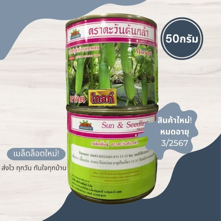 🔥 แตงกวามรกตโกลด์ 50กรัม เมล็ดพันธุ์แตงกวา ตราตะวันต้นกวา เมล็ดแตงกวา🥒 ...