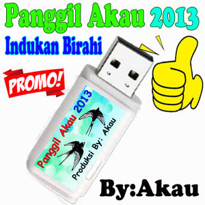 King Birahi Akau 2013 Produksi Akau Jaminan Asli 100% Original Garansi Resmi 1Tahun flashdisk