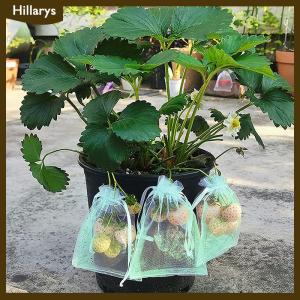 [Hillarys] 20Pcs Mesh Fruit Bag Strawberry Grapes Fruit Grow Bags Breathable Netting Mesh Vegetable Plant Protection Bags For Garden Tools