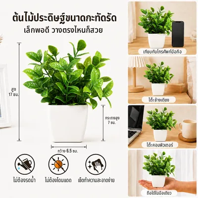 🔥 พร้อมส่ง 🇹🇭 ต้นไม้ปลอมเล็ก ไม่ต้องรดน้ำ มีให้เลือก 8 แบบ บอนไซปลอม พืชประดิษฐ์ ของตกแต่งบ้าน ดูเป็นธรรมชาติ ต้นไม้ปลอมพร้อมกระถาง artificial plants