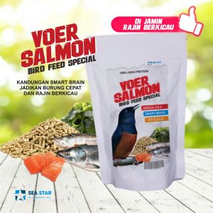 voer salmon murai batu dengan kandungan smart brain bikin cepat gacor 250g