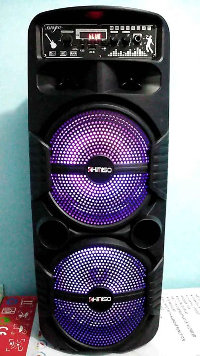 Big speaker hot sale with microphone