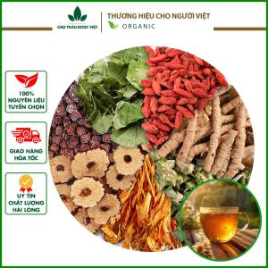 Trà bổ thận mix sẵn trà thảo mộc gồm bạch tật lê dâm dương viễn trí đông trùng táo đỏ...