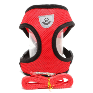 Bộ dây dắt cho Chó Mèo kèm yếm bằng vải lưới thoáng mát (mẫu mới) - Hara Pet Store