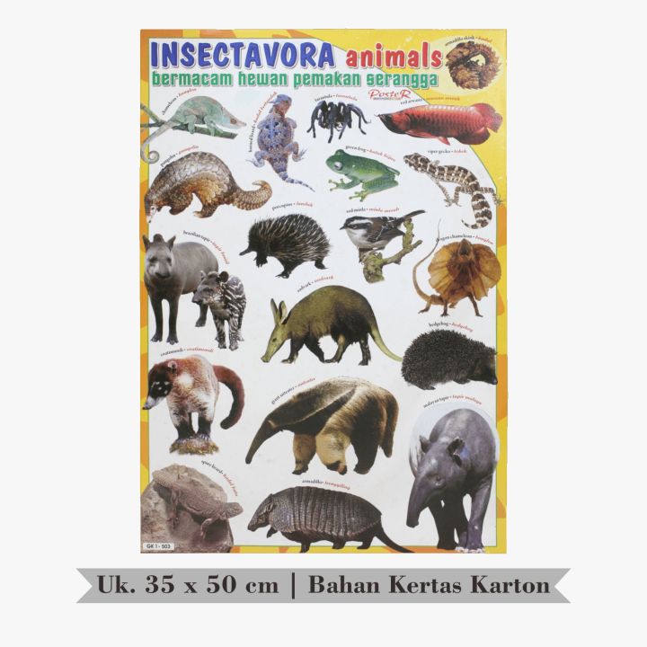 Poster Anak - Poster Edukasi Anak Lembaran – Herbivora / Carnivora / Omnivora / Reptiles / Insectivora / Unggas /Pustaka Baru