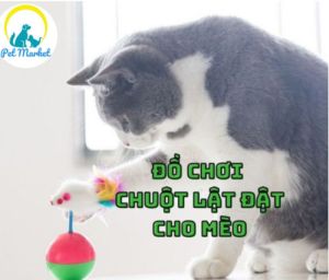 ĐỒ CHƠI CHUỘT LẬT ĐẬT LÔNG VŨ CHUỘT ĐỒ CHƠI CHO MÈO