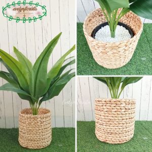 Pohon Artificial Daun Kunyit Hijau & Cokelat Pot Dasar Hitam Cover Eceng Gondok Dekorasi Rumah Aesthetic